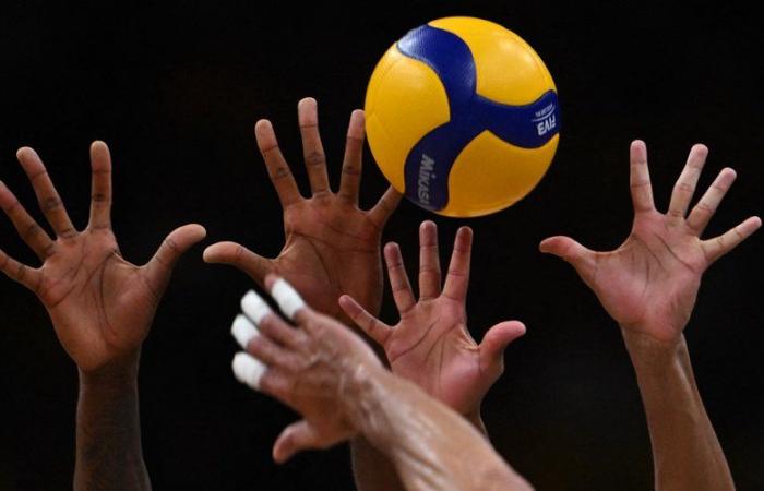 “10-month fixed-term contract, 35 hours per week…” A professional volleyball club posts an ad on France Travail to recruit a player