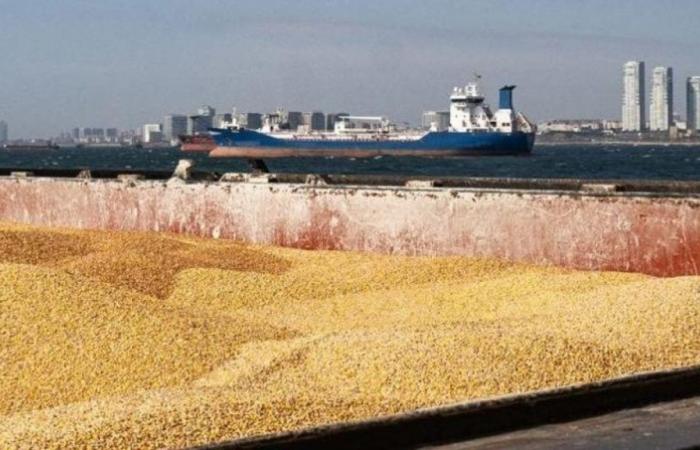 Morocco forced to increase its cereal imports following a dramatic drop in production