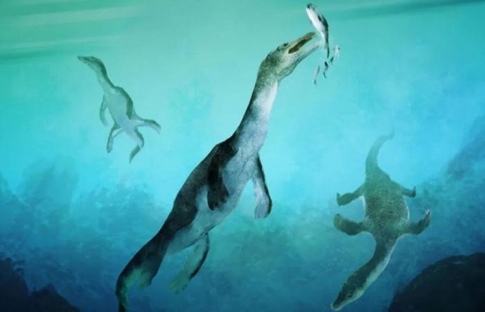 Discovery of a 246 million year old polar sea monster