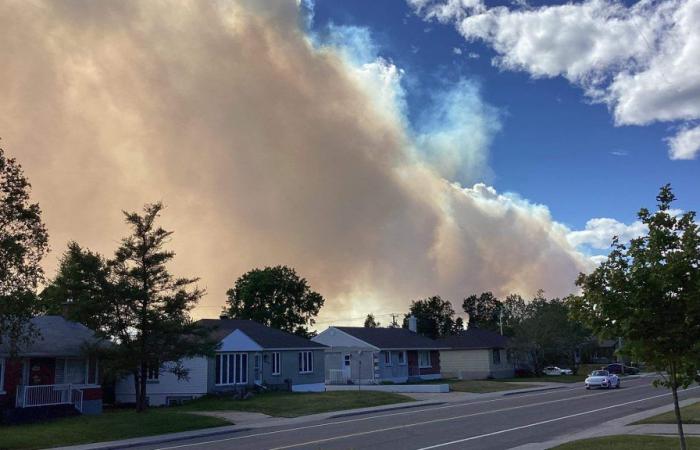 Forest fires in Port-Cartier: “nothing has changed,” say municipal authorities