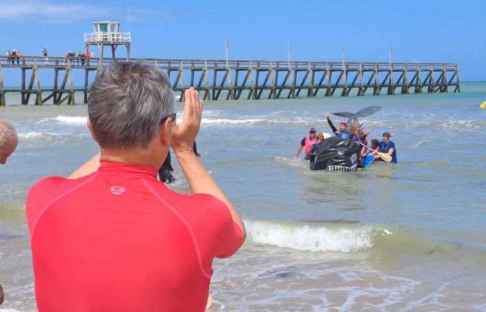 VIDEO. Lots of people to see the crazy raft race on this beach on the Côte de Nacre