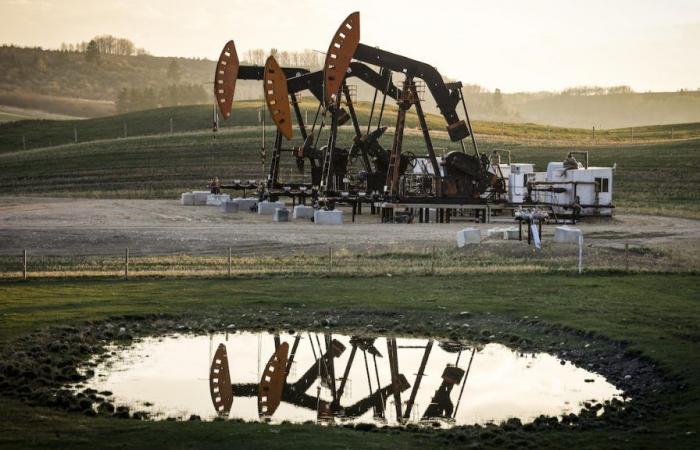 Oil and gas sector plays risky game, experts say