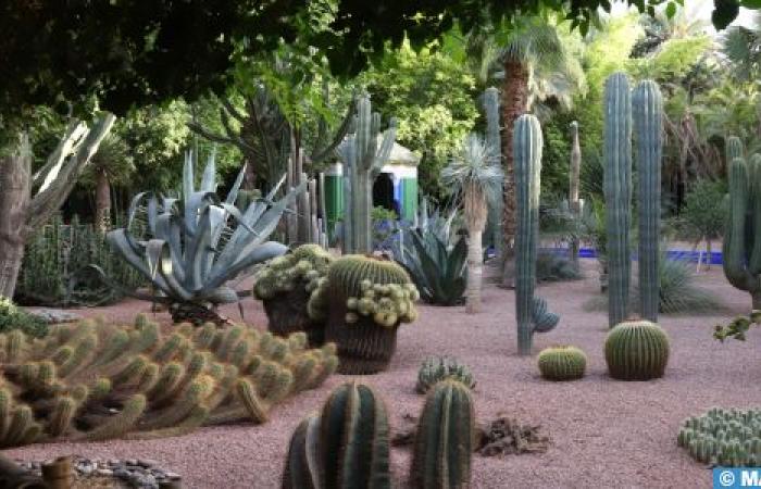 Night of Museums and cultural spaces: Large crowds at the Majorelle Gardens, the Pierre Bergé Museum of Berber Arts and the YSL Marrakech Museum