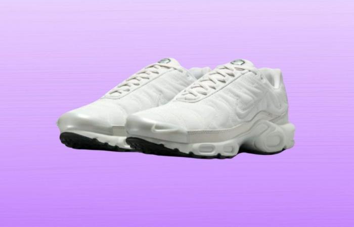 Don’t miss this pair of Nike Air Max plus at an unbeatable price on the official website
