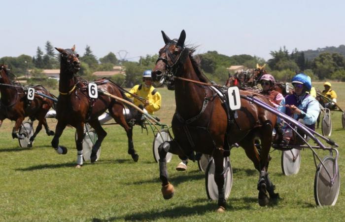 In Bollène, the Levade racecourse ends its season this Sunday