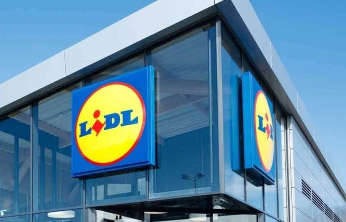 These 3 Lidl appliances to forget the heat this summer