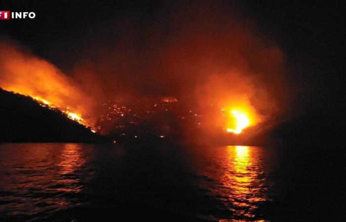 Greece: controversy after a forest fire started by fireworks fired from a yacht