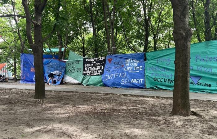 A new pro-Palestinian encampment set up on Place Victoria in Montreal | Middle East, the eternal conflict