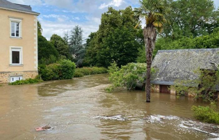 Switzerland: dozens of people evacuated following major floods (videos)