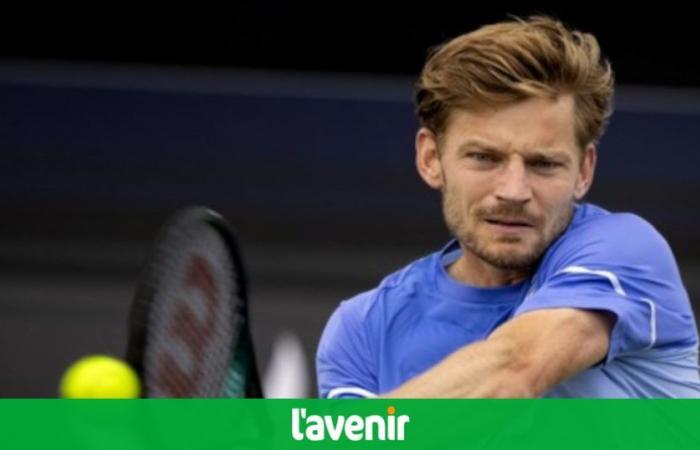 David Goffin wins the Ilkley Challenger tournament, his first title on grass: “It gives me a lot of confidence for Wimbledon”