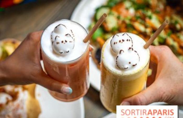 The most kawaii Indian brunch in Paris by Baranaan and Pingwoo Paris 10th