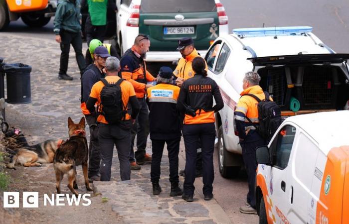 Dog teams continue Tenerife search