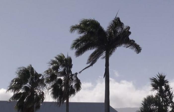 Weather in Reunion: Wind gusts up to 70 km/h in Saint-Pierre