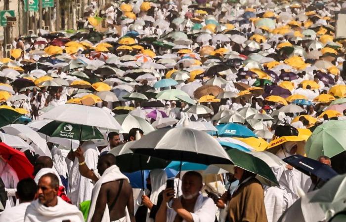 1,301 dead during Mecca pilgrimage, most unauthorized pilgrims