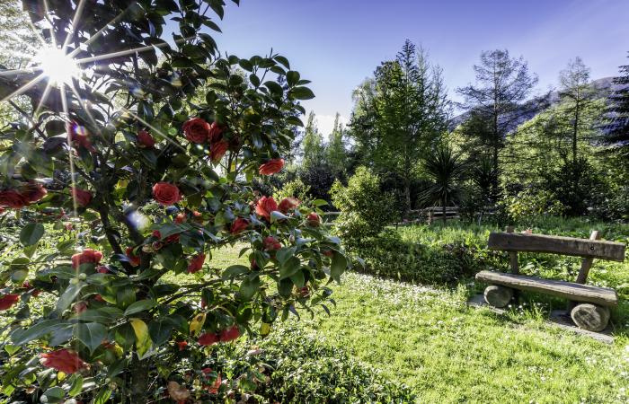 These Swiss gardens that are more than worth the detour