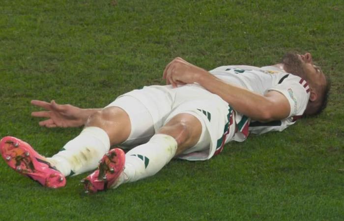 Hungary player knocked out