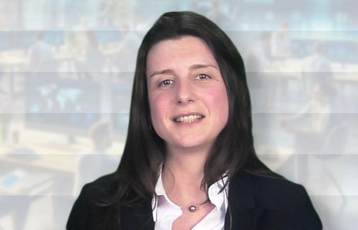 Alix Merle, Xerfi – Wood heating: the future of the sector in the face of budget cuts – Sector intelligence