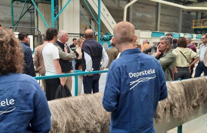The Depestele group is recruiting for its linen scutching factory in Vexin