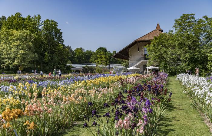 These Swiss gardens that are more than worth the detour