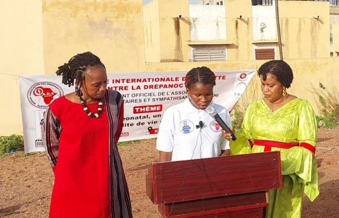 The association of sickle cell patients and Madani Sympathizers was born – MALI24