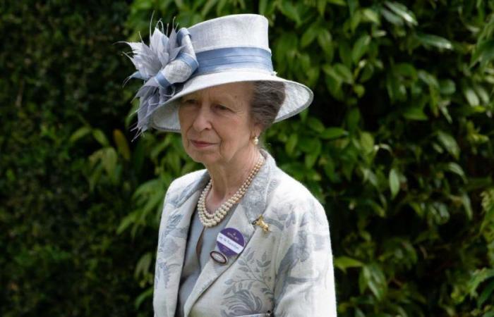 United Kingdom. Princess Anne hospitalized with ‘minor injuries’ after incident