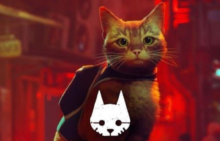 Stray is coming to the Switch this year – Cheapest key prices