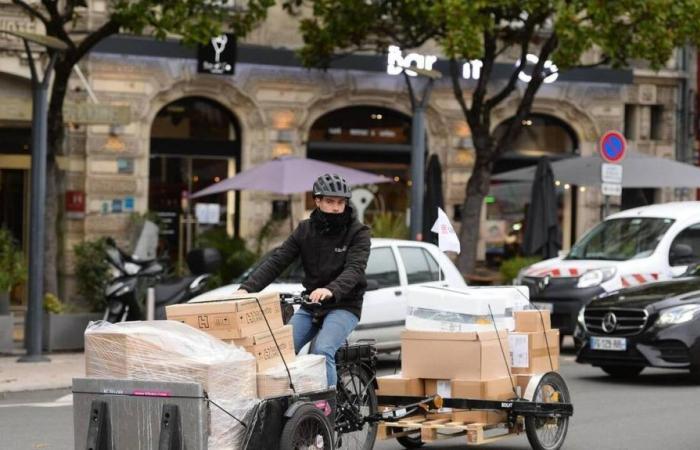 Logistics by bike, eco-design, tech, food waste… Echoes of the Angevin economy