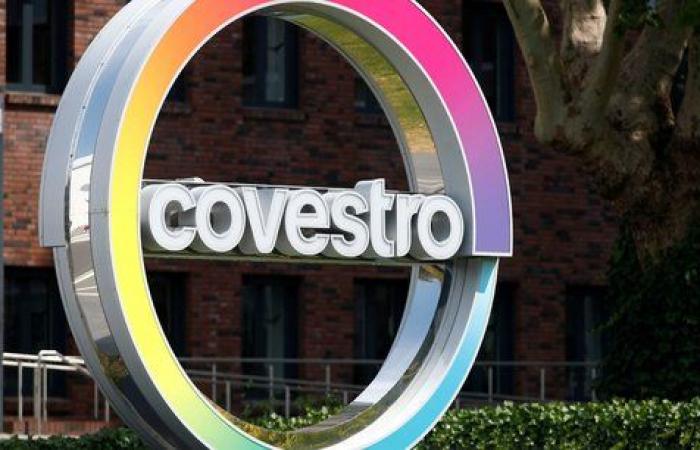 The Emirati Adnoc wants to get its hands on one of the German chemical giants Covestro