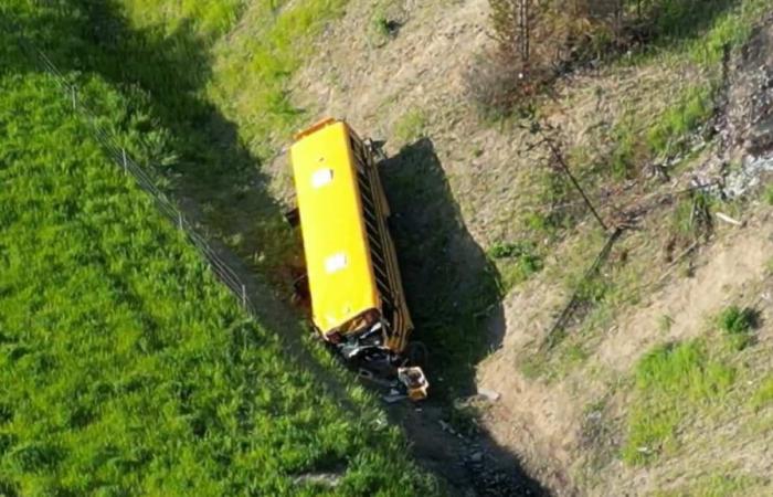 School bus accident in British Columbia: a dozen injured, including seven evacuated by air transport
