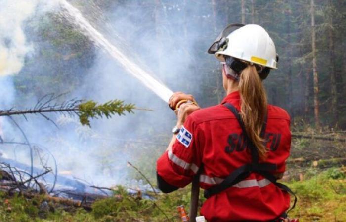 172 forest firefighters and fighters will be at work in Sept-Rivières