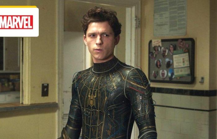 Spider-Man: a new Marvel film in preparation without Tom Holland? – Cinema News