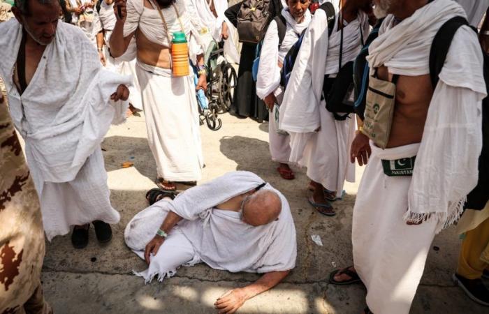 “The majority were not authorized to perform the hajj”: the death toll of pilgrims in Mecca rises to 1,301 people
