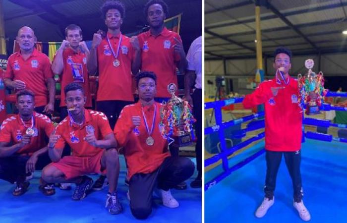 National Day Boxing Cup in Seychelles: six gold medals for Reunion!