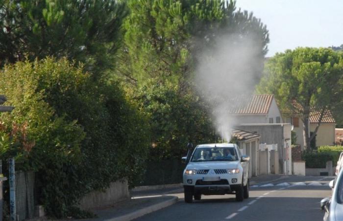 Near Toulouse. Against the tiger mosquito, a city will increase the number of treatment phases