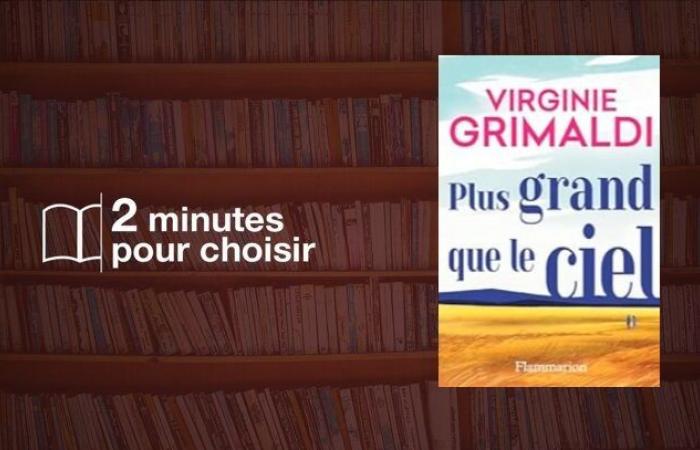 We read “Grander than the sky” by Virginie Grimaldi, a moving and personal novel