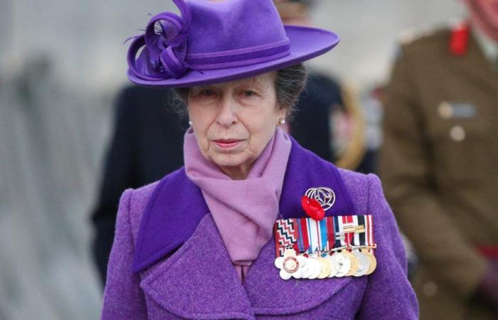 Princess Anne hospitalized after concussion