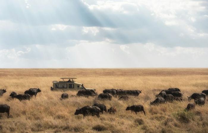 in Tanzania, tourism that is worth gold