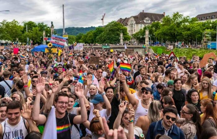 Two Islamist teenagers plotted against Gay Pride in Zurich