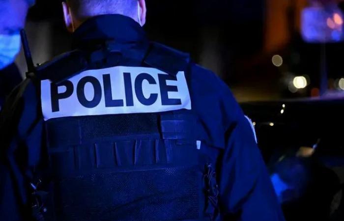 Two suspects in police custody after fatal brawl in Niort