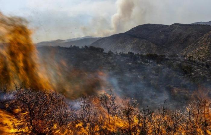Extreme forest fires have doubled in 20 years around the world – rts.ch