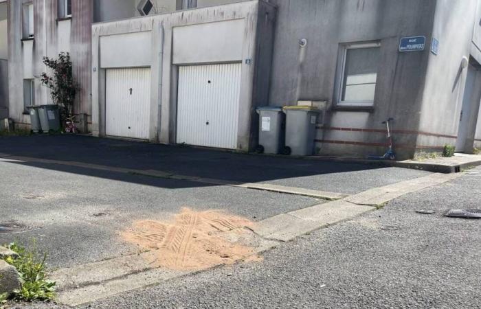 in Nantes, a 3-year-old child dies after being hit by a car