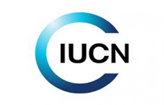 The international organization IUCN is recruiting for this position (June 23, 2024)