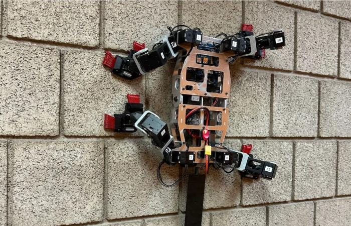 Developed by NASA, this robot climbs walls using bio-inspired grippers