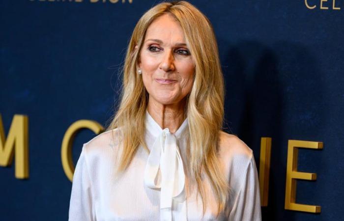 Celine Dion will do anything for a pair of shoes she likes