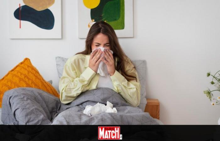 The thing you should do every evening if you are allergic to pollen