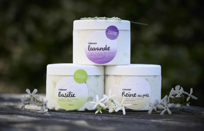 artisanal ice creams and sorbets that smell of the South (to be enjoyed on site in Valence / Aubenas or at home) – Masculin.com