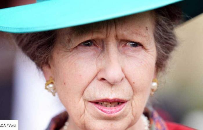 “Unable to remember”: the terrible consequences of Princess Anne’s accident