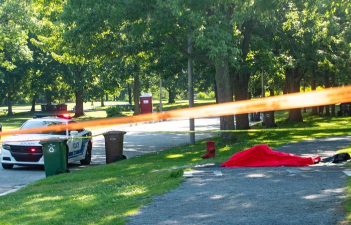 Montreal | A man found lifeless at Angrignon Park