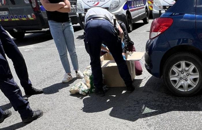 Her Blablacar passengers are mysterious packages: she ends up at the Le Havre police station