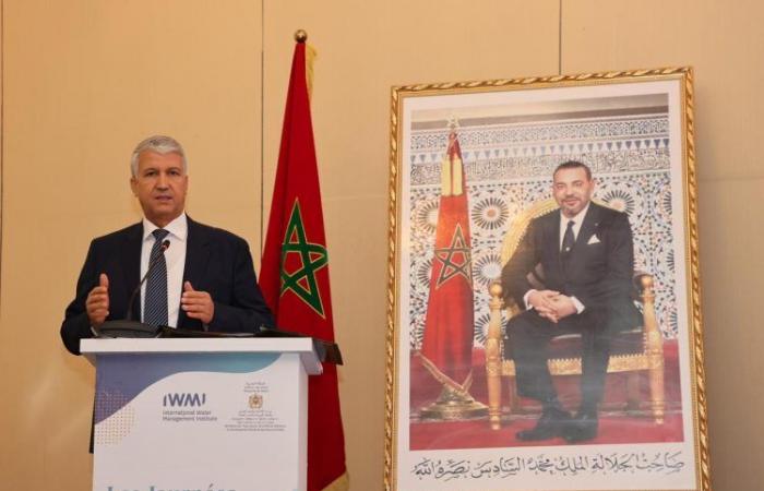 Morocco, pioneer in public-private partnerships